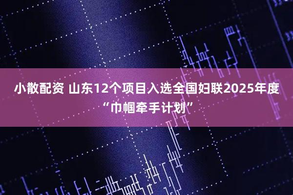 小散配资 山东12个项目入选全国妇联2025年度“巾帼牵手计划”